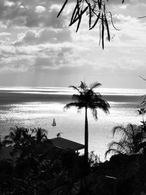 Ti Sucrier Jaune - Douceur Caraibe Vue Mer Le Carbet Exterior photo